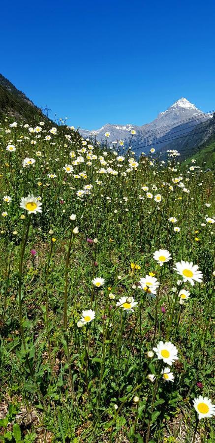 Chalet Lupshalte Wassen