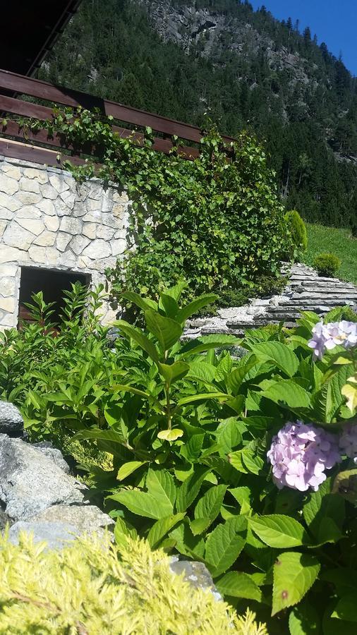Lupshalte Chalet